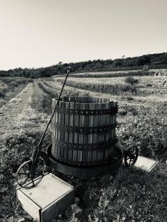 Gîte De La Guerine - 6