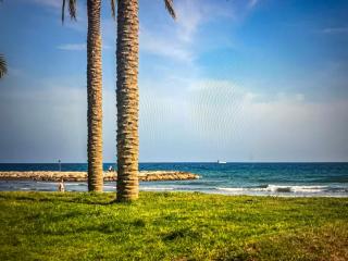 Newly renovated apartment in Málaga - 5