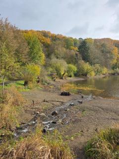 Ferienwohnung am Maarberg - 6
