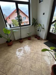 Pensiunea Casa Rofo - 6