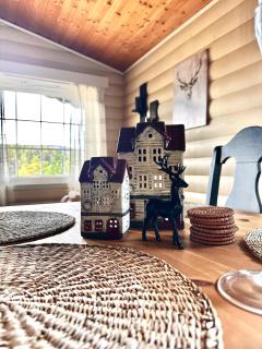 Panorama hytte til leie, Bortelid - 6