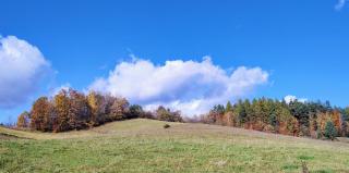 Szept - Biały Domek - 3