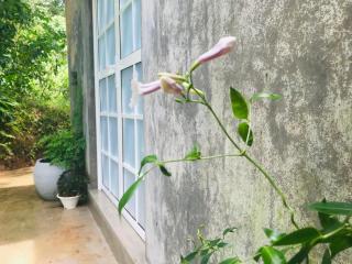 Talbat Estate Cinnamon Villa - 3