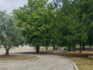 Chez Vieux Château Landon - 1