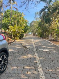 Pousada Flat Royal - Flat 03 - 4