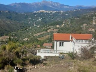 Villa dei sogni, with private pool ,roof terrace and spectacular views of Monaco ans liguria mountains - 9