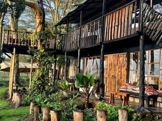 TREE HOUSE Lodge - 3