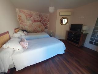 Les berges du Seudo chambres d'hôtes - Labastide-de-Lévis - 4