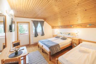 Pensiunea Piatra-Craiului - 1