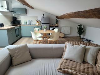 L'écrin Mansart, vaste et charmant T2 climatisé - 1