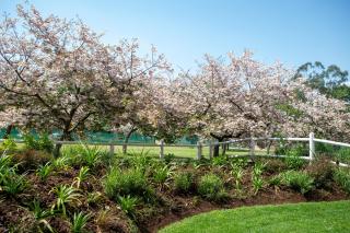 2 Annie's Place Rawdons Country Estate - 8