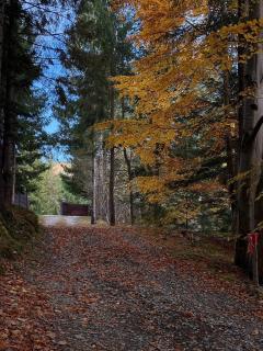 Relaxation in Guta Гута покращене шале - 5