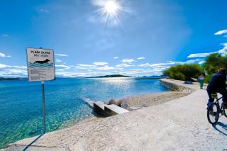 Apartment Milka City Centar - 1