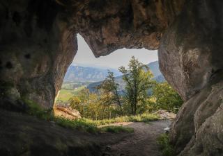 Ferienwohnung am Luegsteinsee - 5