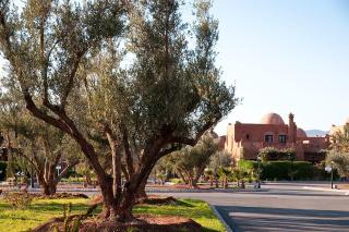 Palacio Hôtel Condominium Marrakech - 7