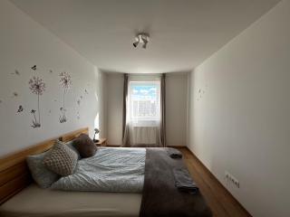 519 Family Apartment 2 near by Heroes Square with free garage - 4