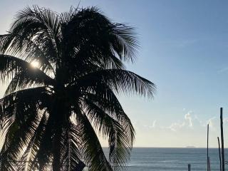 MK BEACH Playa Del Carmen - 7