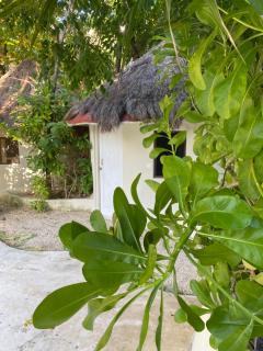 MK BEACH Playa Del Carmen - 6