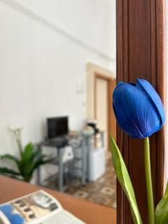 stanza zaffiro azzurro - 3