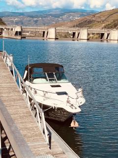 Casa Terras do Douro - 8