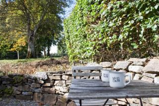 La Chambre de la Gotale - Manhay - 6