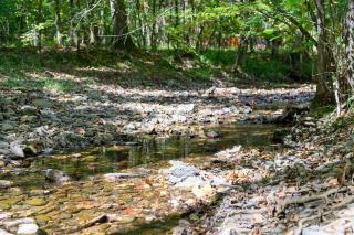 Silverbrook - 2 king suites - surrounded by trees - 6