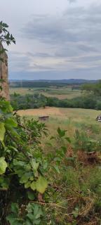 Agriturismo Campo Ruffaldo - 6