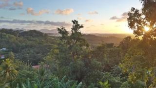 Appartement spacieux à Le Lamentin, 95 m², vue mer - 1