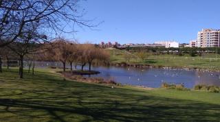 Mchouse Prime Stay - 1