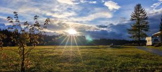 HeideAway im Waldviertel - 1