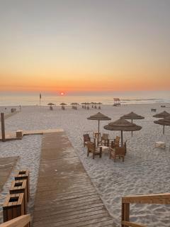 REFÚGIO DOURADO - 4