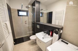 Luxury Studio near Coresi Mall by Milan IV-Brasov - 3
