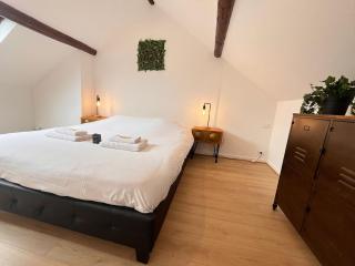 E - Au petit bonheur cosy proche du centre-ville - 5