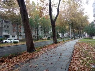 1BR Budget Apartment near Beach - 9