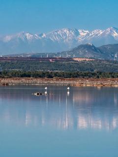 Mobil home climatisé chez Mickaël et Laëtitia - 7