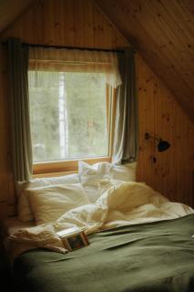 Miło las widzieć - 6