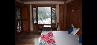 Tirthan Valley Cockaigne - 5