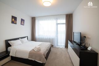 Luxury Studio near Coresi Mall by Milan VI-Brașov - 5