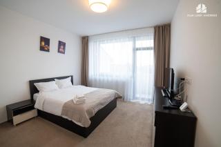 Luxury Studio near Coresi Mall by Milan VI-Brașov - 3