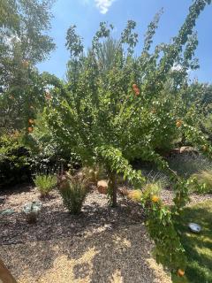 Villa proche Aix-en-Provence - 8