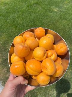 Villa proche Aix-en-Provence - 7