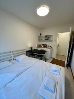 Witikonstrasse 515 - 4