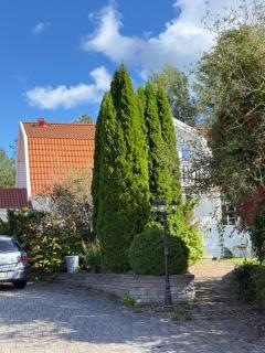 Glamping in a Bungalow Deluxe by the Forest w Swimmingpool near Golf and the Baltic Sea Beach - Järna - 8