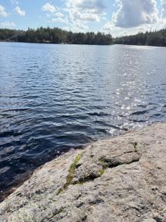 Glamping in a Bungalow Deluxe by the Forest w Swimmingpool near Golf and the Baltic Sea Beach - 5