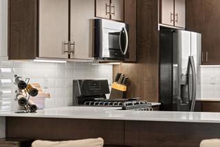 New 4 bd 3.5 bath with pool, hot tub, waterslide and PS% - 8