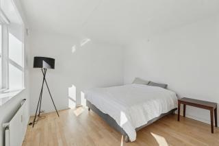 Frederiksberg family apartment - Kopenhagen - 9