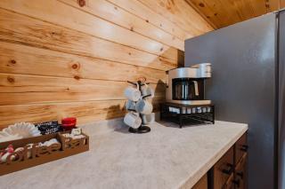 The Lazy Maple in Red River Gorge - 1