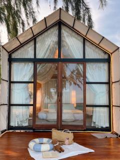 Mollusc Glamping - 2