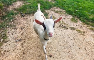 2 Bedroom Cozy Home In Eyraud-Crempse-Maurens - 1