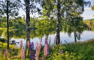 2 Bedroom Awesome Home In Åmål - 2